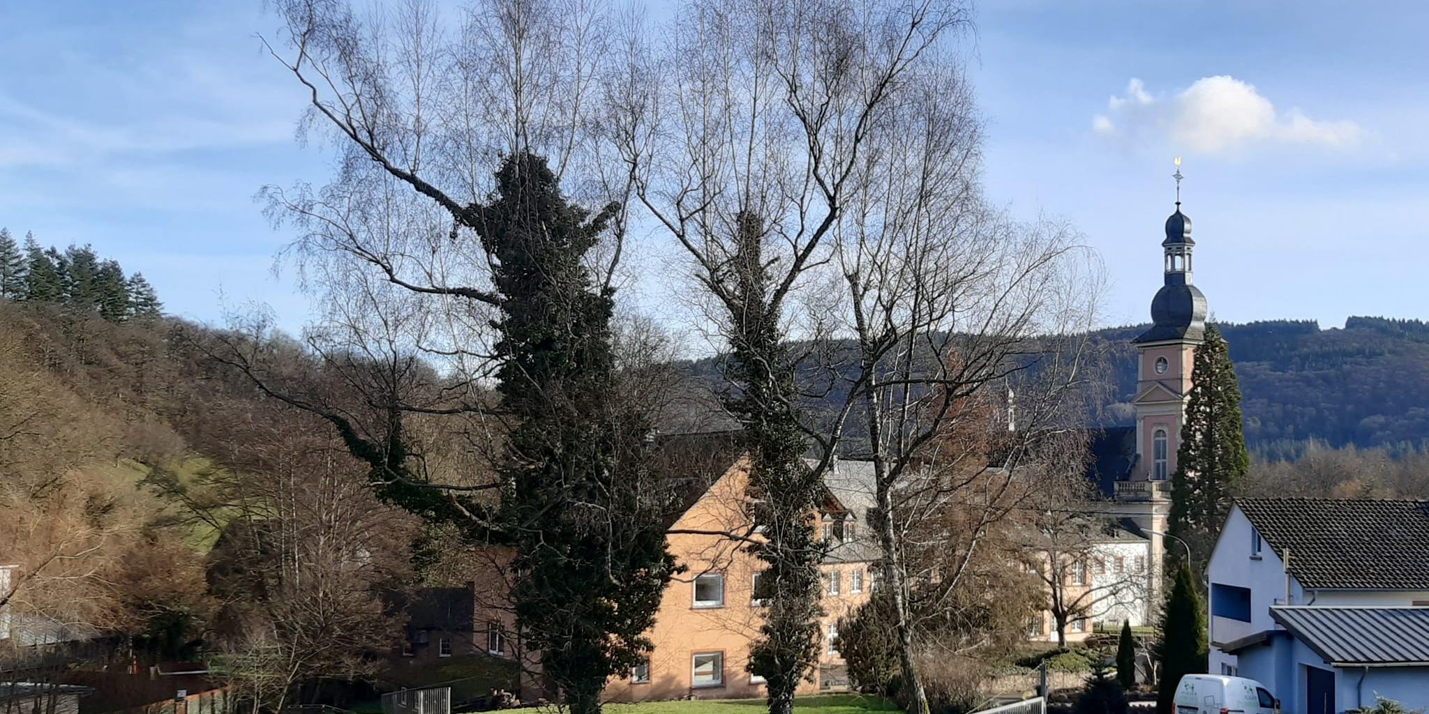 Kloster Springiersbach