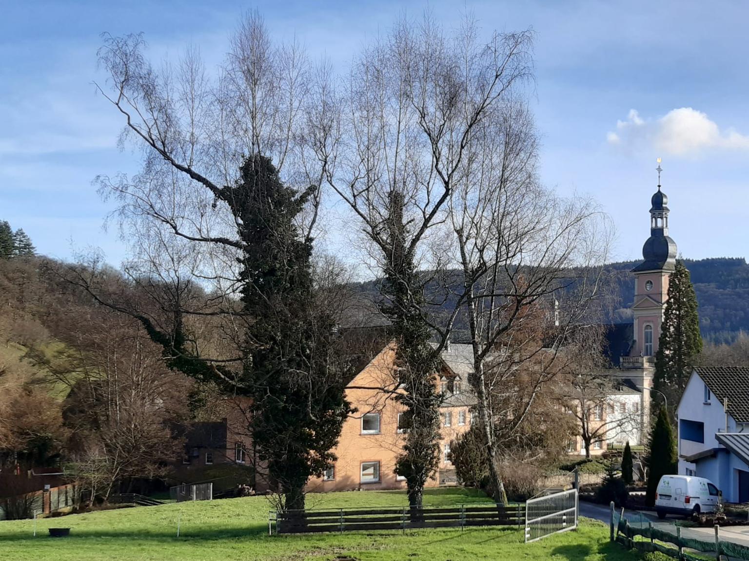 Kloster Springiersbach