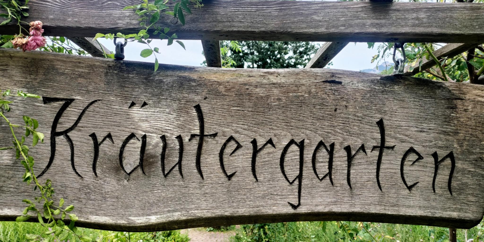 Symbolbild Kräuter