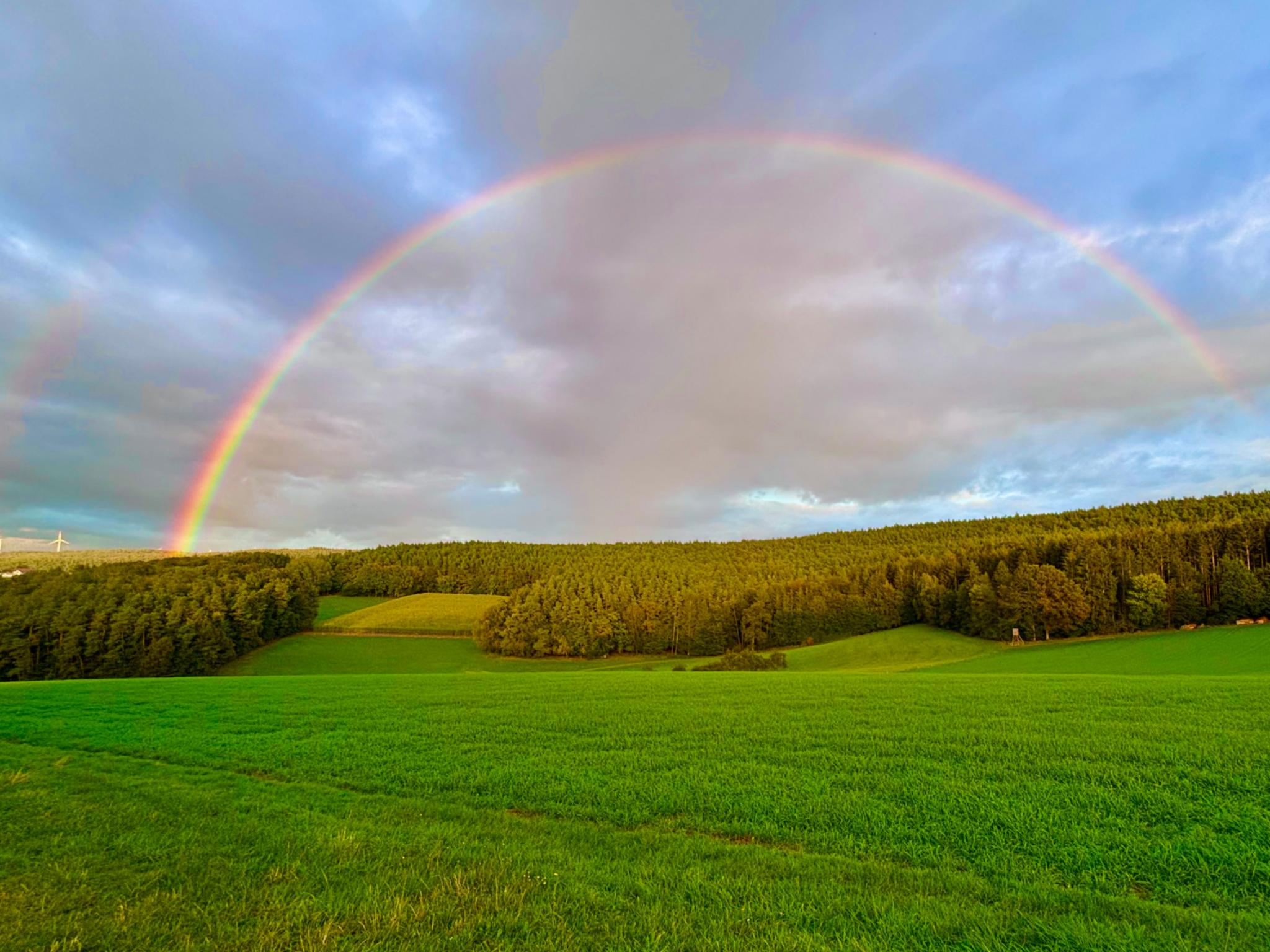 Ein Tor öffnet sich