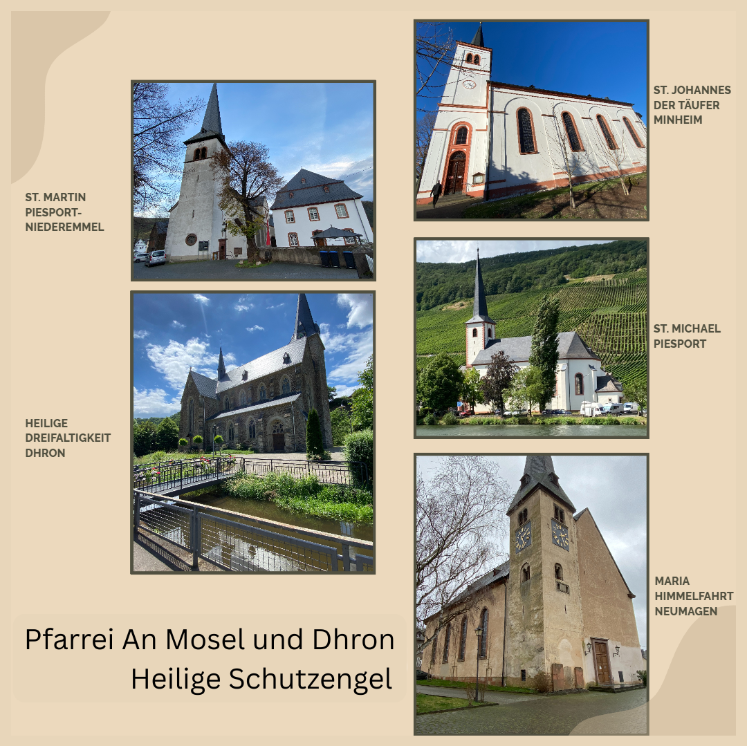 20260224 An Mosel und Dhron