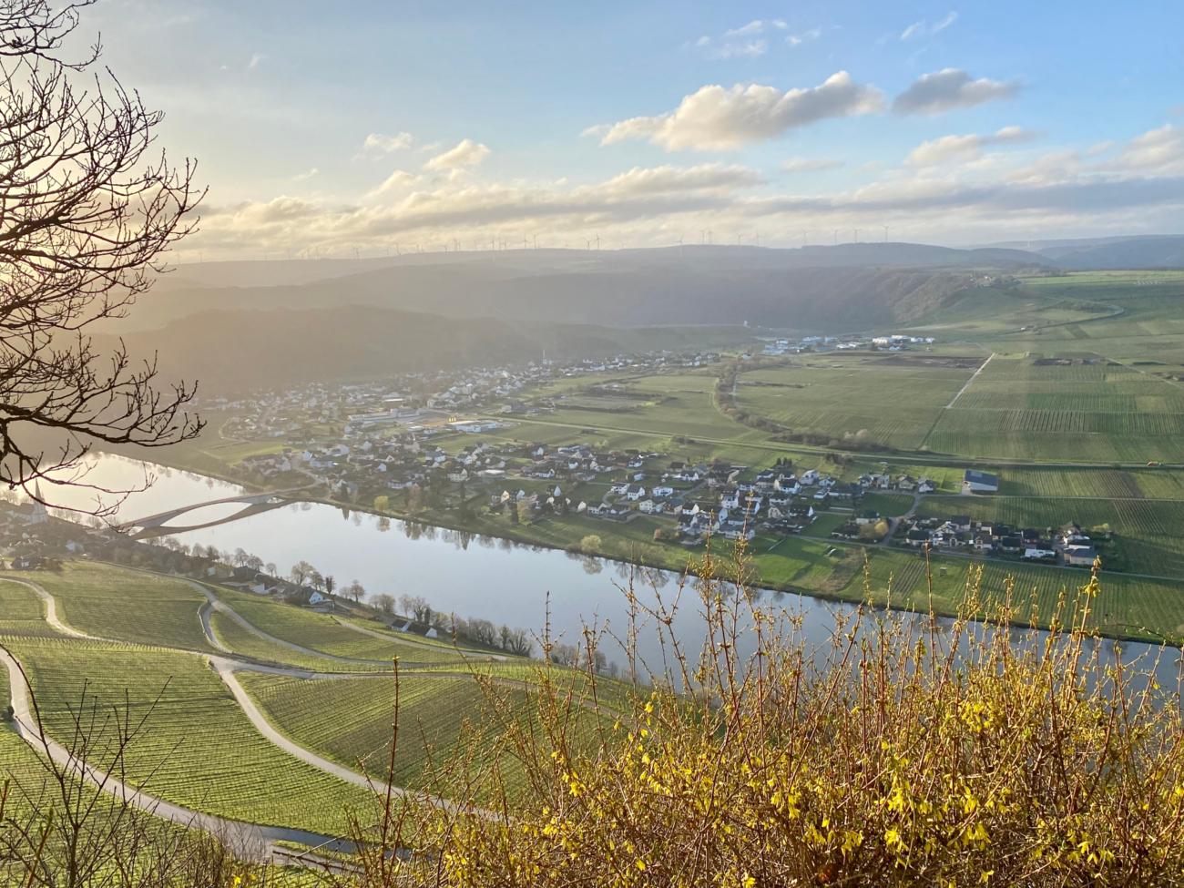 Piesport Spoarkapelle und Spoarbildchen 11 - Grandiose Aussicht von der Spoarkapelle ins Moseltal