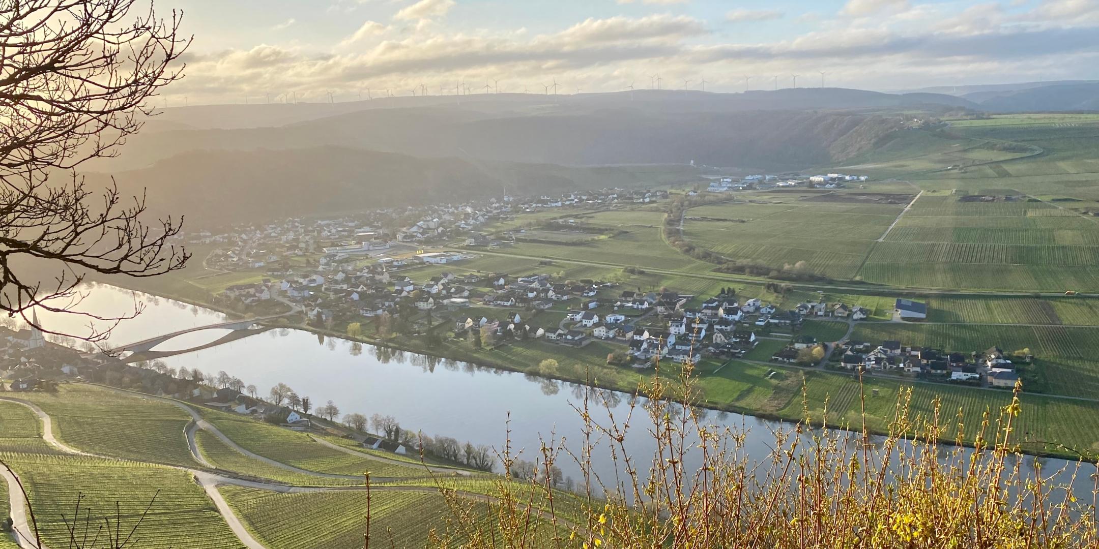 Piesport Spoarkapelle und Spoarbildchen 11 - Grandiose Aussicht von der Spoarkapelle ins Moseltal